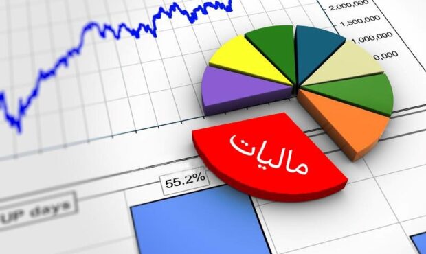 ۵۰ درصد منابع دولتی از محل مالیات است