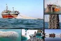 بانک ذخایر دریایی ایران افتتاح شد