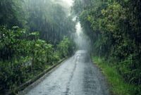 هواشناسی: تداوم بارش‌ها تا روز پنجشنبه