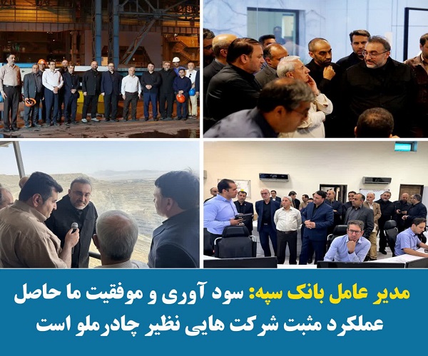 سودآوری و موفقیت ما حاصل عملکرد مثبت شرکت‌هایی نظیر چادرملو است