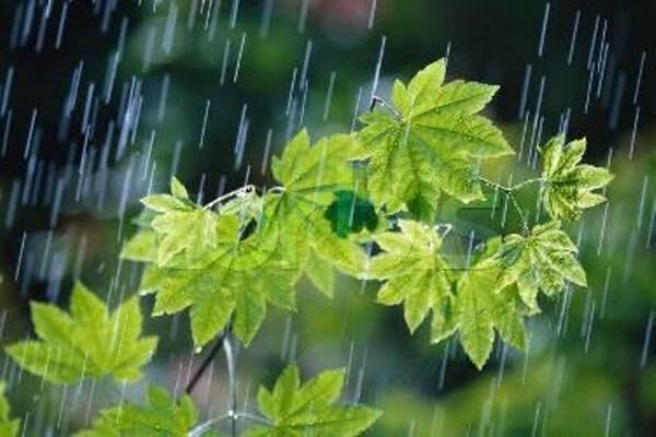 بارشهای رگباری در مازندران، گیلان، آذربایجان شرقی و اردبیل