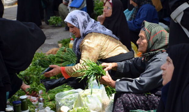 تلاش دولت برای افزایش پرداخت تسهیلات در غالب صندوق خرد زنان