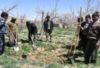 حقوق بازنشستگان روستایی از 1405 همسان می‌شود