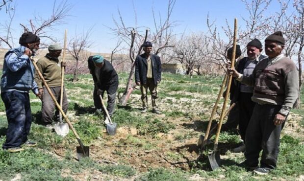 حقوق بازنشستگان روستایی از 1405 همسان می‌شود