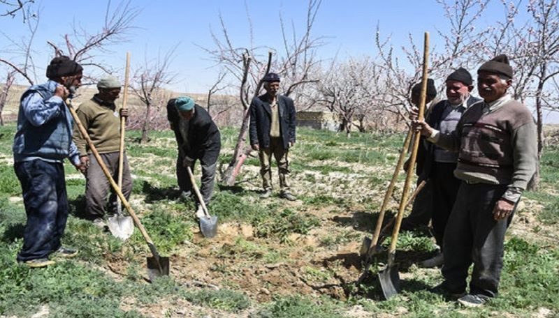 حقوق بازنشستگان روستایی از ۱۴۰۵ همسان می‌شود