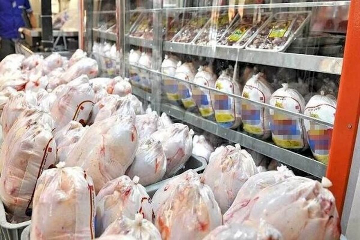 مدیرعامل اتحادیه مرغداران گوشتی: تصمیمات دولتی ضد تولید است و نیاز به اصلاح دارد