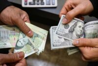 ارز ترجیحی، انگیزه‌ اصلی بنگاه‌ها را از «تولید» به «تصاحب سود» تغییر داد