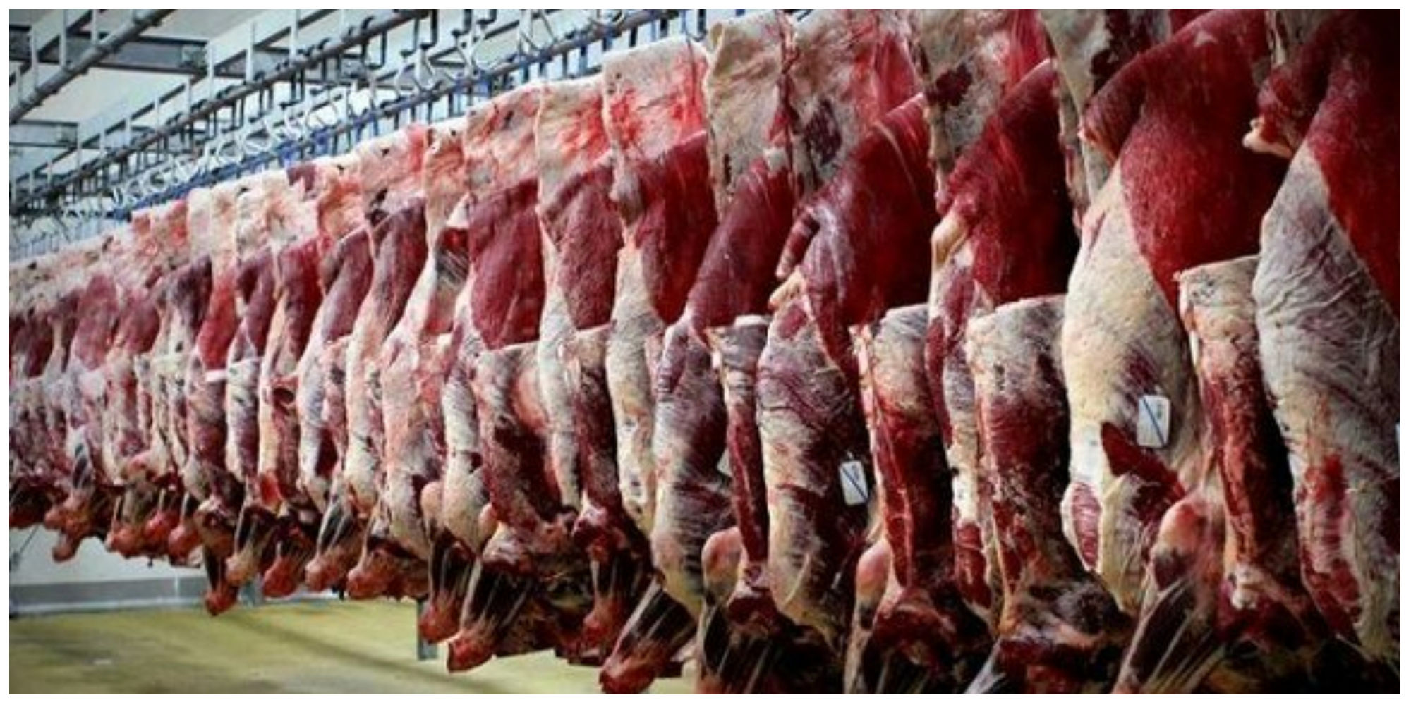ارز ترجیحی گوشت قرمز حذف نمی شود