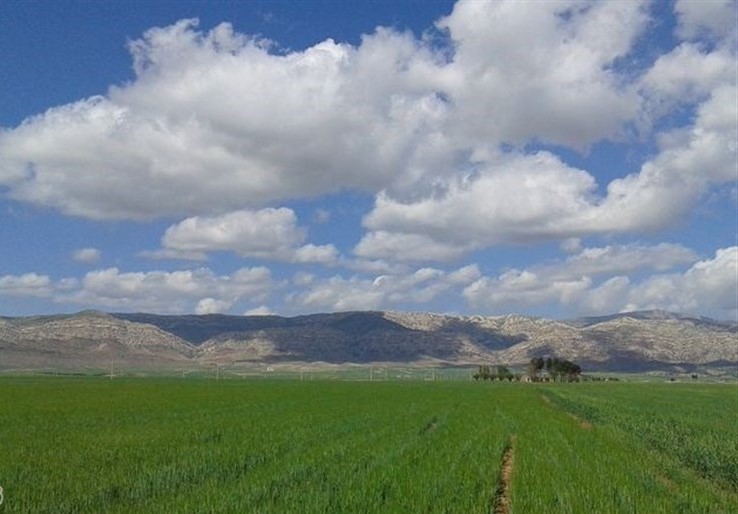 ۳۰۰ هزار هکتار کشت فراسرزمینی ایران در ۸ کشور