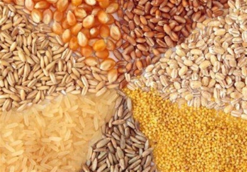 تجارت با روسیه: فرصت‌سوزی و انفعال در تنظیم بازار نهاده‌ها