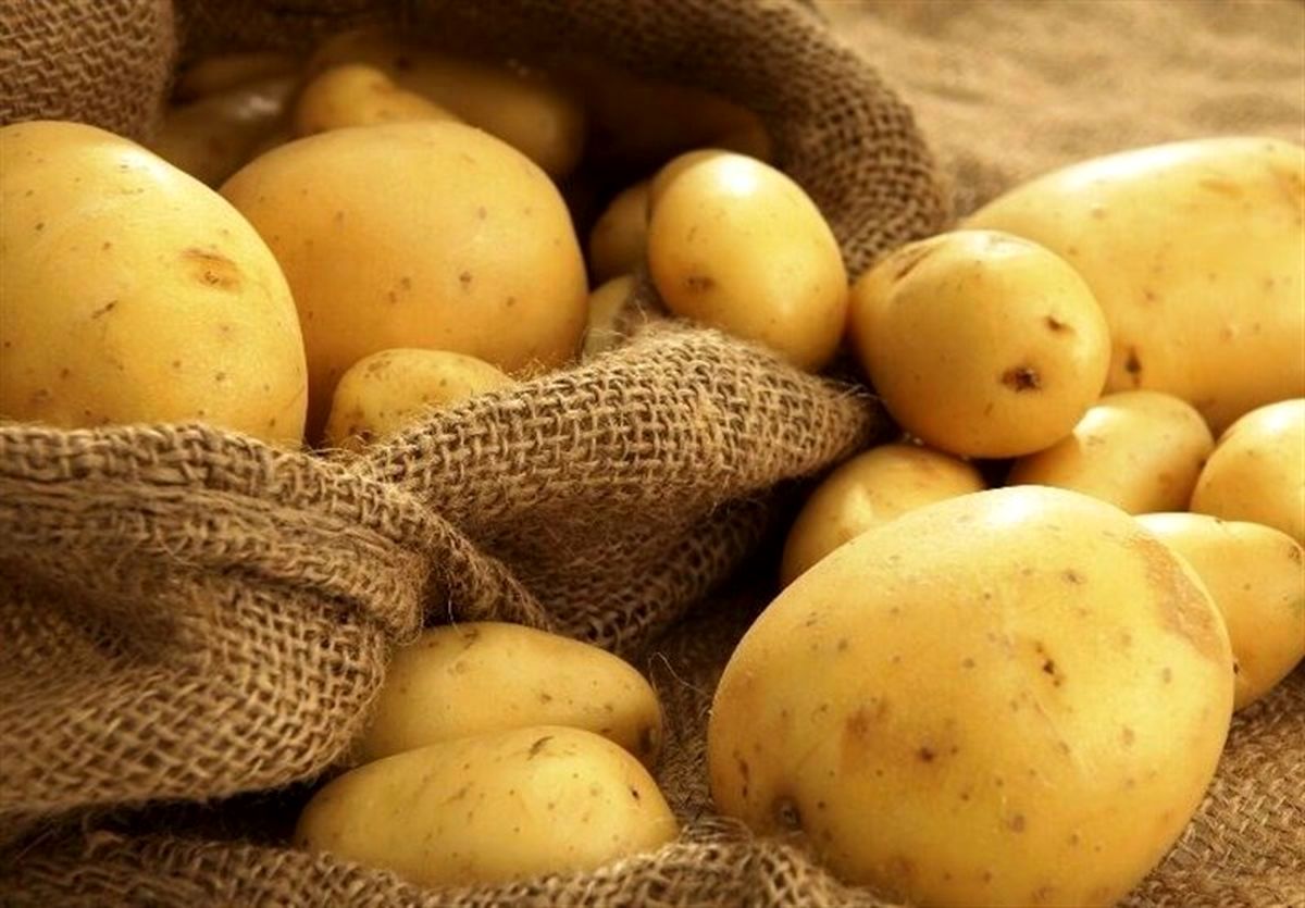 پیاز، سیب‌زمینی و گوجه‌فرنگی گران شد