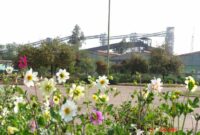 تولید بریکت احیایی از لجن صنعتی بخش احیا در فولاد خوزستان