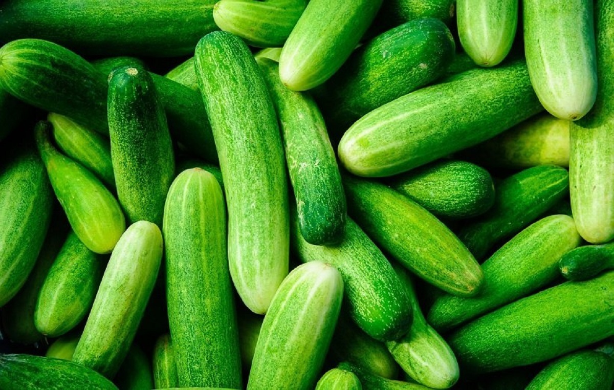 این میوه قند خون دیابتی ها را کنترل می کند