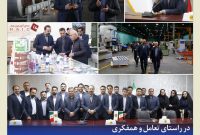 مدیر عامل بیمه کوثر با بیمه‌گزاران استان کرمان دیدار کرد