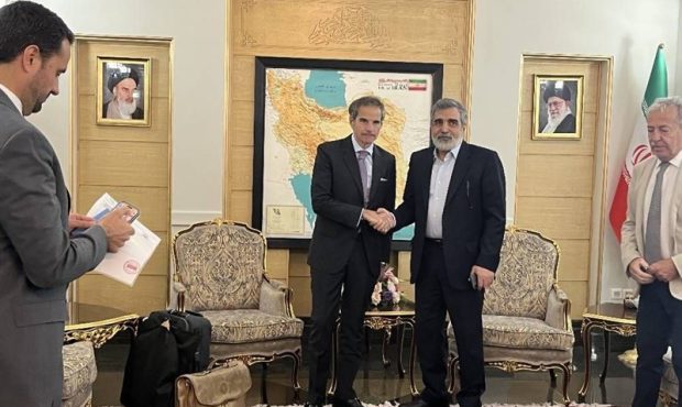 رافائل گروسی وارد تهران شد رافائل گروسی وارد تهران شد