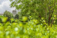 هدف ما؛ ارائه روایت سازمانی فولاد مباركه از دریچهای حرفهایتر به مخاطب هدف ما؛ ارائه روایت سازمانی فولاد مباركه از دریچهای حرفهایتر به مخاطب