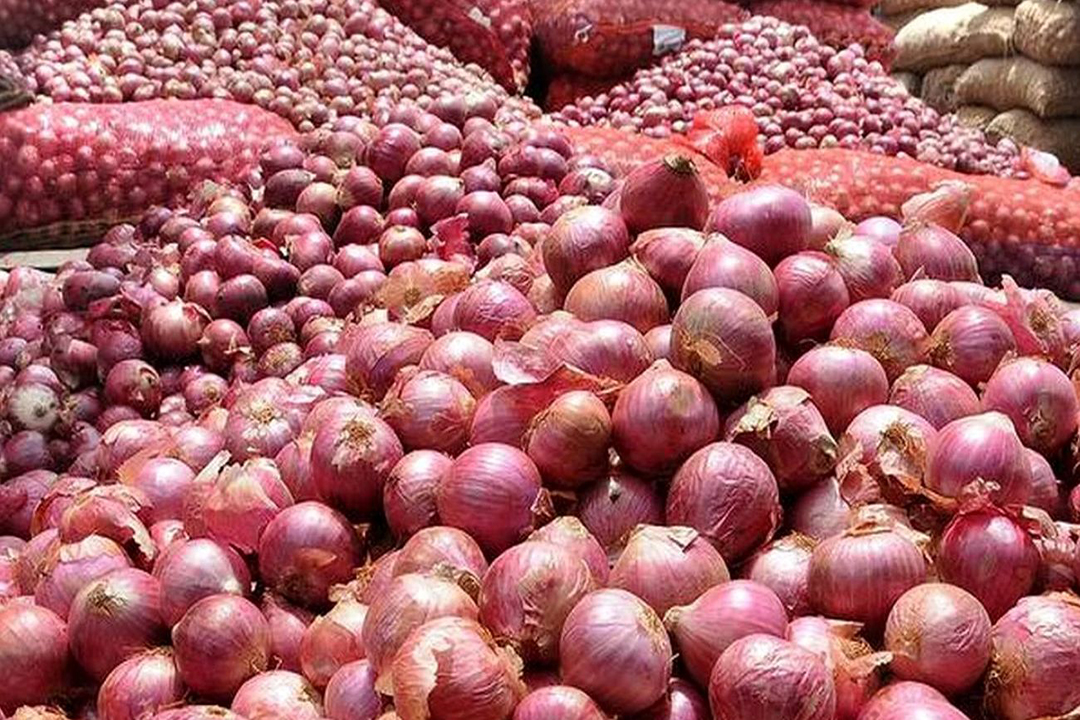 خرید توافقی پیاز از کشاورزان آغاز شد