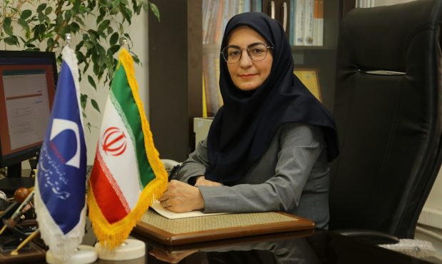 تحویل معدن چاهگز به سرمایهگذار بخش خصوصی تحویل معدن چاهگز به سرمایهگذار بخش خصوصی