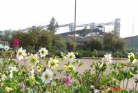 مزیتهای نسبی از دسترفته و ضرورت بازنگری در حکمرانی فولاد مزیتهای نسبی از دسترفته و ضرورت بازنگری در حکمرانی فولاد