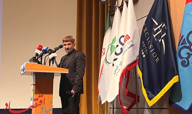 پنجره جمعیتی و اقتصاد دیجیتال فرصت تاریخی ایران برای جهش اقتصادی است