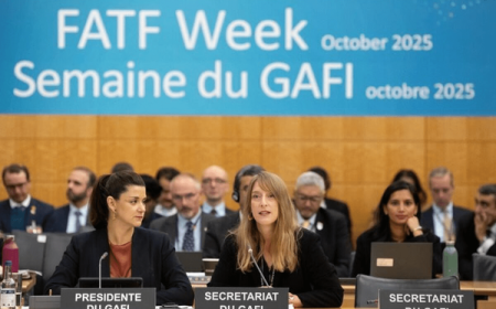 چرا تلاش ایران در FATF نتیجه نداد؟