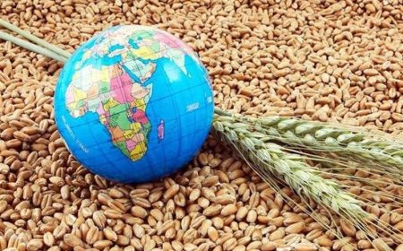 هشدار کارشناسان درباره بحران غذایی جهانی با بسته ماندن تنگه هرمز