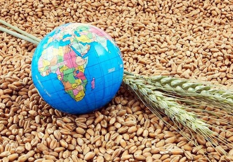 هشدار کارشناسان درباره بحران غذایی جهانی با بسته ماندن تنگه هرمز