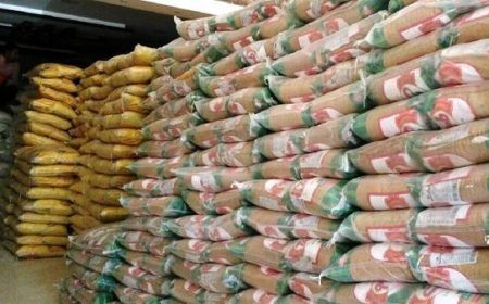 ترخیص بیش از ۵۰ هزار تن کالای اساسی در ۲۴ ساعت گذشته