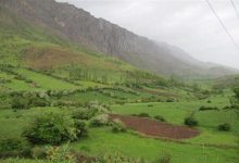نرخ تعرفه‌های رسمی مرتعی در سال ۱۴۰۵ اعلام شد