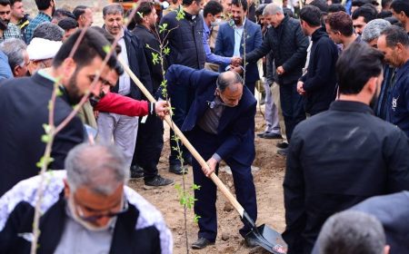 پویش کاشت ۱۵۳هزار نهال به یاد ۱۵۳ شهید مدرسه میناب آغاز شد