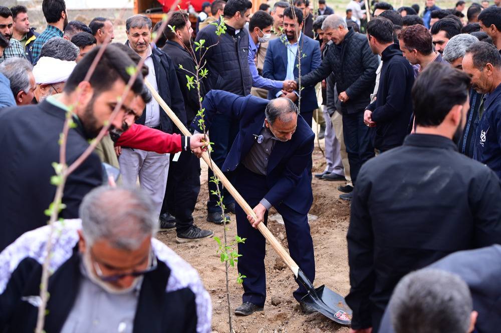 پویش کاشت ۱۵۳هزار نهال به یاد ۱۵۳ شهید مدرسه میناب آغاز شد