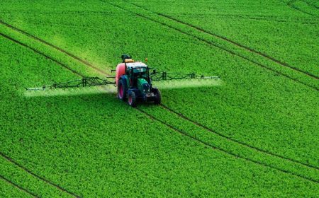 صنایع غذایی جهان در آستانه بحران