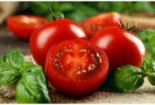 از امروز؛ صادرات این محصول ممنوع شد