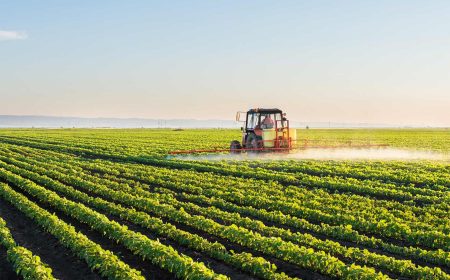 چاره‌ای جز بازنگری در الگوهای صنعت کشاورزی نخواهد بود