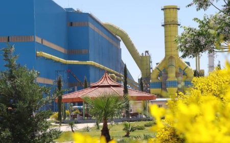 ثبت عملکرد موفق زیست‌محیطی در شرکت فولاد غدیر نی‌ریز