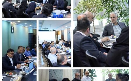 بررسی دستاوردهای تولید، برنامه‌های توسعه و چالش‌های پیش‌روی «ارفع»