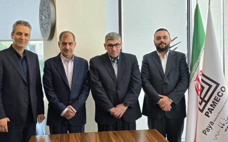 مدیرعامل شرکت مدیریت اکتشاف منابع معدنی پایا منصوب شد