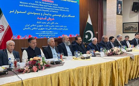 شش وزیر کلیدی پاکستان در سفارت ایران با وزیر صمت دیدار کردند