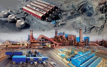 رشد ۲۰ درصدی درآمد کچاد + اینفوگرافیک