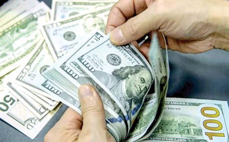 فروش ارز سهمیه‌ای آغاز شد+ قیمت