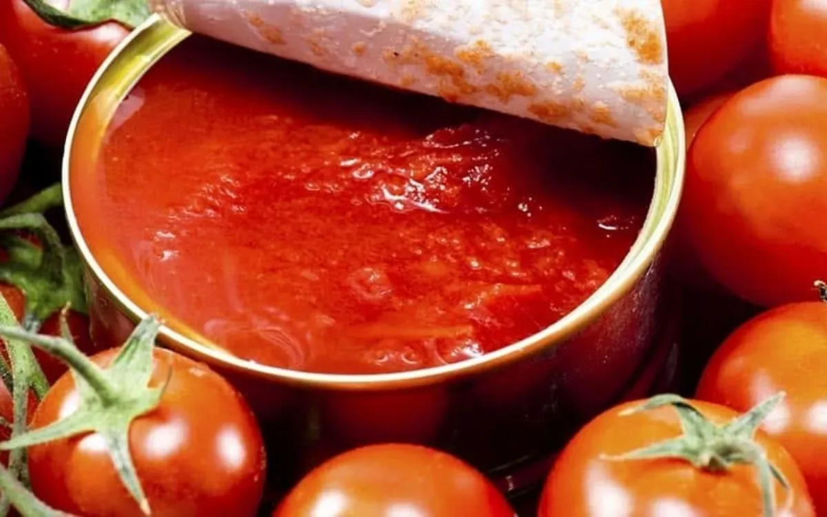 شوک ۵۷ درصدی به قیمت رب گوجه؛ از ۲۱۰ به ۳۲۹ هزار تومان در ۴۰ روز