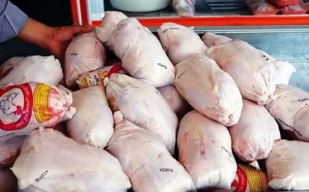 قیمت مرغ به ۲۴۰ هزار تومان رسید؛ ارزانی برای مردم، زیان سنگین برای مرغداران
