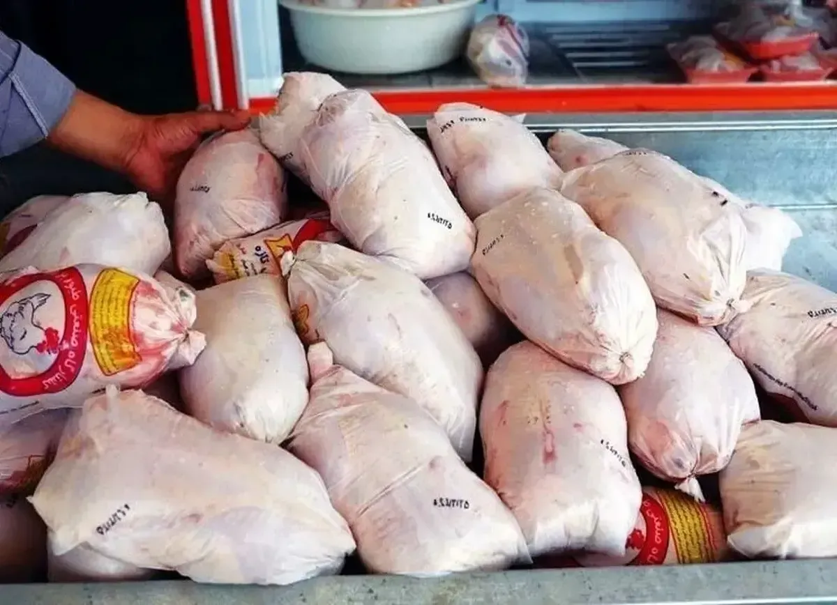 قیمت مرغ به ۲۴۰ هزار تومان رسید؛ ارزانی برای مردم، زیان سنگین برای مرغداران