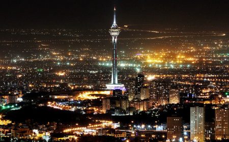 چه کسانی از زیست شبانه پول درمی‌آورند؟