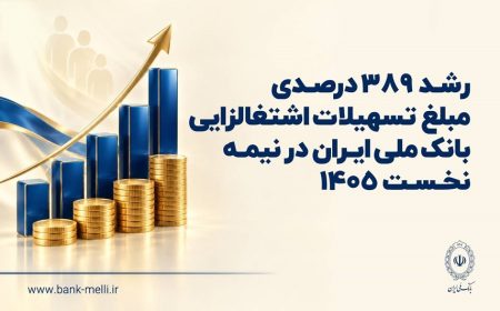 رشد ۳۸۹ درصدی مبلغ تسهیلات اشتغال‌زایی بانک ملی ایران