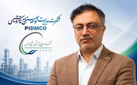 سرپرست شرکت مدیریت توسعه صنایع پتروشیمی منصوب شد