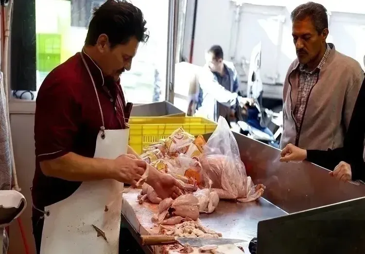 قیمت مرغ دوباره خبرساز شد / فیله مرغ در بازار امروز کیلویی چند؟