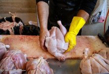 ممنوعیت عرضه مرغ کامل بالای ۲.۲ کیلوگرم