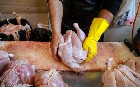 ممنوعیت عرضه مرغ کامل بالای ۲.۲ کیلوگرم