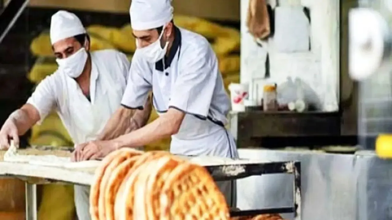 تغییر بزرگ در بازار گندم ایران؛ خرید بخش خصوصی آزاد شد/ خطر افزایش قیمت نان و فشار هزار همتی بر بودجه ۱۴۰۶؟